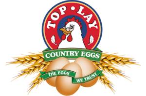 Toplay Eggs